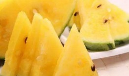 吃小脆瓜,清爽一夏的甜蜜诱惑