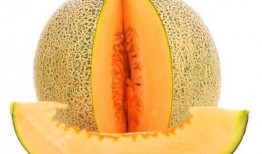 蝗虫吃哈密瓜,哈密瓜成蝗虫美食新宠