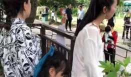 罗翔说吃瓜,揭秘网络舆论背后的法律与道德