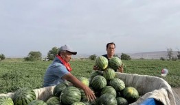 佤味吃瓜,探寻云南佤族独特美食风情