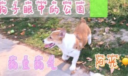 吃瓜每日搬,娱乐圈最新动态大盘点