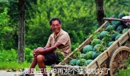 吃瓜笔记,揭秘娱乐圈幕后故事