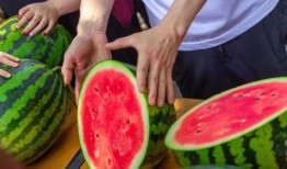 某大学天台吃瓜,揭秘校园里的神秘吃瓜事件