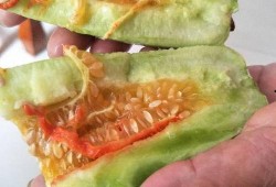 下午吃酥瓜有好处吗,健康美味两不误