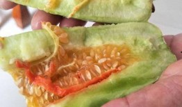 下午吃酥瓜有好处吗,健康美味两不误