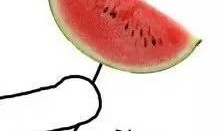 吃瓜手机图片,一场视觉盛宴的科技之旅