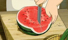 吃瓜大白27,一场关于瓜农生活的深度对话