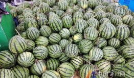 迎来各种吃瓜事件,盘点近期爆火的网络事件