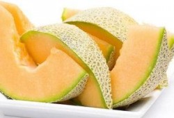 蝗虫吃哈密瓜,哈密瓜成蝗虫美食新宠