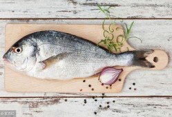 只会吃瓜的鱼,探寻其独特生存智慧