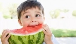 赴京吃瓜,一场赴京吃瓜的奇妙之旅