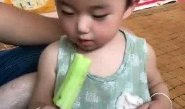 秃崽吃瓜呀,揭秘娱乐圈幕后故事