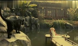 黑猫吃瓜的电影,揭秘电影背后的神秘世界