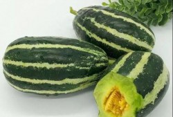 泗水盛吃瓜,瓜果飘香，尽享田园美味时光