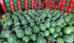 迎来各种吃瓜事件,盘点近期爆火的网络事件