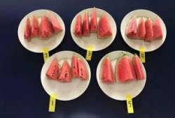 吃瓜小瓶盖儿,揭秘娱乐圈那些不为人知的幕后故事