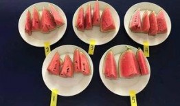 吃瓜小瓶盖儿,揭秘娱乐圈那些不为人知的幕后故事