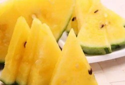 国际吃瓜图,趣味横生的国际社会众生相