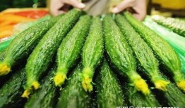 清明节吃瓜,传统习俗中的现代演绎