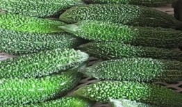 豫津吃瓜,揭秘吃瓜群众的狂欢盛宴